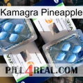 Kamagra Pineapple viagra5